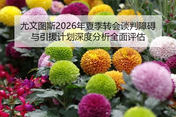 you-wen-tu-si-nian-xia-ji-zhuan-hui-tan-pan-zhang-ai-yu-yin-yuan-ji-hua-shen-du-fen-xi-quan-mian-ping-gu-2-164.jpg