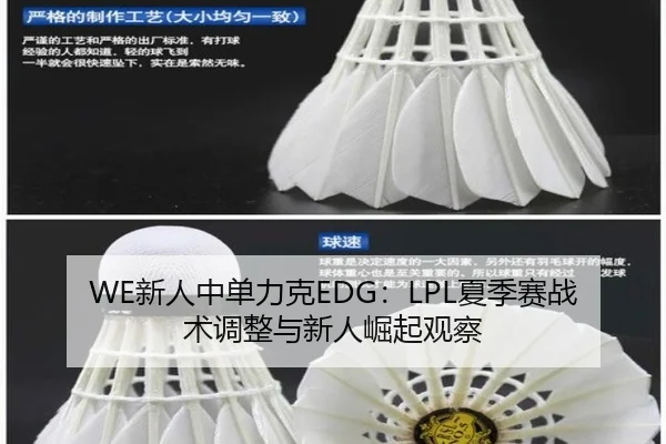 xin-ren-zhong-dan-li-ke-xia-ji-sai-zhan-shu-tiao-zheng-yu-xin-ren-jue-qi-guan-cha-3-734.jpg